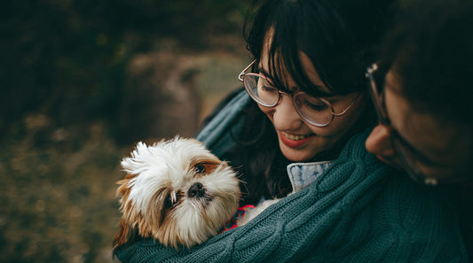 The Ultimate Guide to Pet Care: Building a Happy and Healthy Life for Your Companion