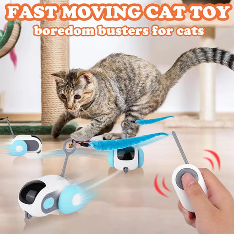 PawMotion Smart Toy