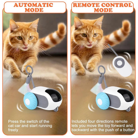 PawMotion Smart Toy