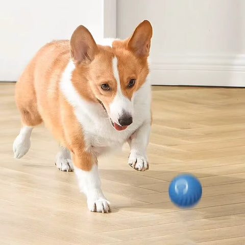 PawBounce